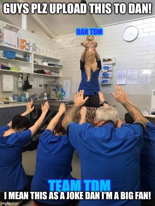 Dan tdm being worshiped as a cat I mean what else? | GUYS PLZ UPLOAD THIS TO DAN! I MEAN THIS AS A JOKE DAN I’M A BIG FAN! | image tagged in dan tdm as a cat | made w/ Imgflip meme maker