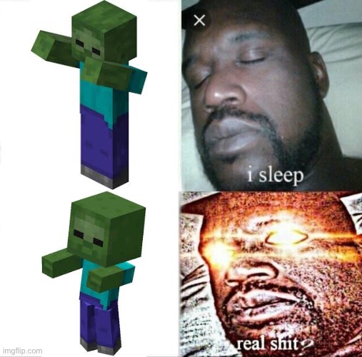 True storie | image tagged in memes,sleeping shaq,minecraft,relatable,funny,minecraft memes | made w/ Imgflip meme maker