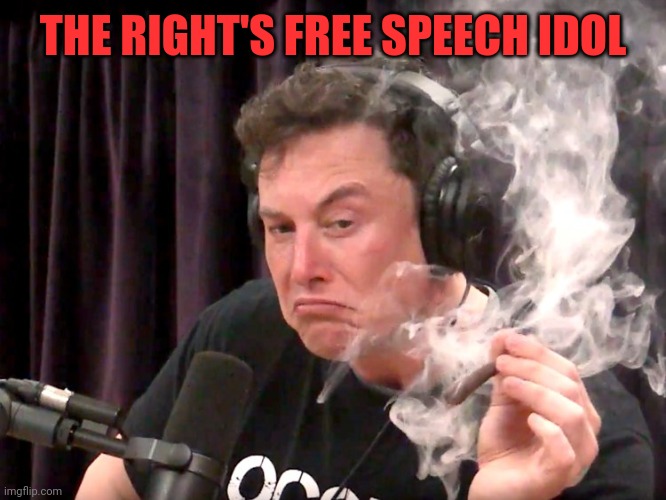 From the same people who believe Donald Trump | THE RIGHT'S FREE SPEECH IDOL | image tagged in elon musk weed | made w/ Imgflip meme maker