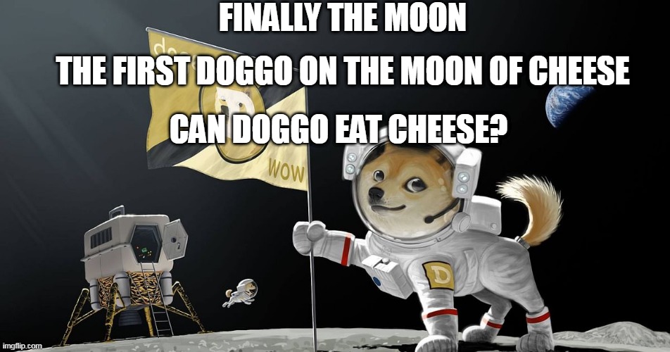 Doggo Moon Cheese |  FINALLY THE MOON; THE FIRST DOGGO ON THE MOON OF CHEESE; CAN DOGGO EAT CHEESE? | image tagged in dogs,funny,cheese,cheese time,eating,full moon | made w/ Imgflip meme maker