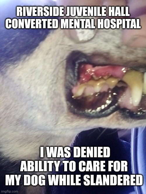 RIVERSIDE JUVENILE HALL CONVERTED MENTAL HOSPITAL; I WAS DENIED ABILITY TO CARE FOR MY DOG WHILE SLANDERED | image tagged in ruhs,fraud,medical malpractice,mental health,slander attorney,slander lawyer california | made w/ Imgflip meme maker