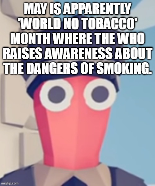 TABS Stare | MAY IS APPARENTLY 'WORLD NO TOBACCO' MONTH WHERE THE WHO RAISES AWARENESS ABOUT THE DANGERS OF SMOKING. | image tagged in tabs stare | made w/ Imgflip meme maker
