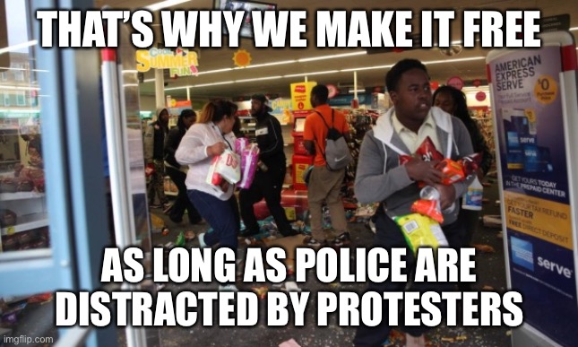 looters | THAT’S WHY WE MAKE IT FREE AS LONG AS POLICE ARE DISTRACTED BY PROTESTERS | image tagged in looters | made w/ Imgflip meme maker