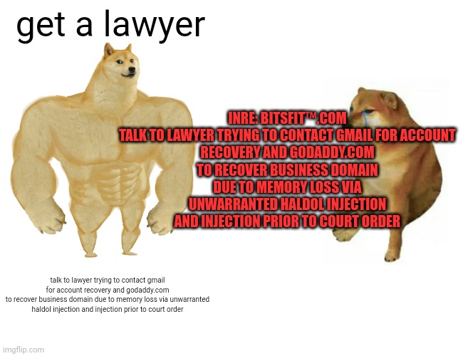 Buff Doge vs. Cheems Meme | get a lawyer talk to lawyer trying to contact gmail for account recovery and godaddy.com
to recover business domain due to memory loss via u | image tagged in memes,buff doge vs cheems | made w/ Imgflip meme maker
