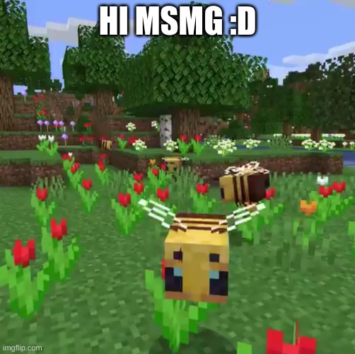 Minecraft bees | HI MSMG :D | image tagged in minecraft bees | made w/ Imgflip meme maker