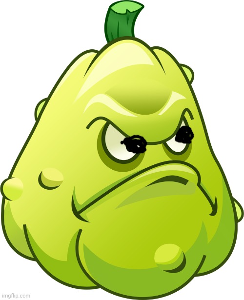 Squash | image tagged in squash | made w/ Imgflip meme maker