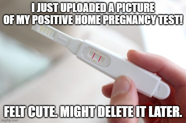 Abort! Abort! | I JUST UPLOADED A PICTURE OF MY POSITIVE HOME PREGNANCY TEST! FELT CUTE. MIGHT DELETE IT LATER. | image tagged in pregnancy test | made w/ Imgflip meme maker