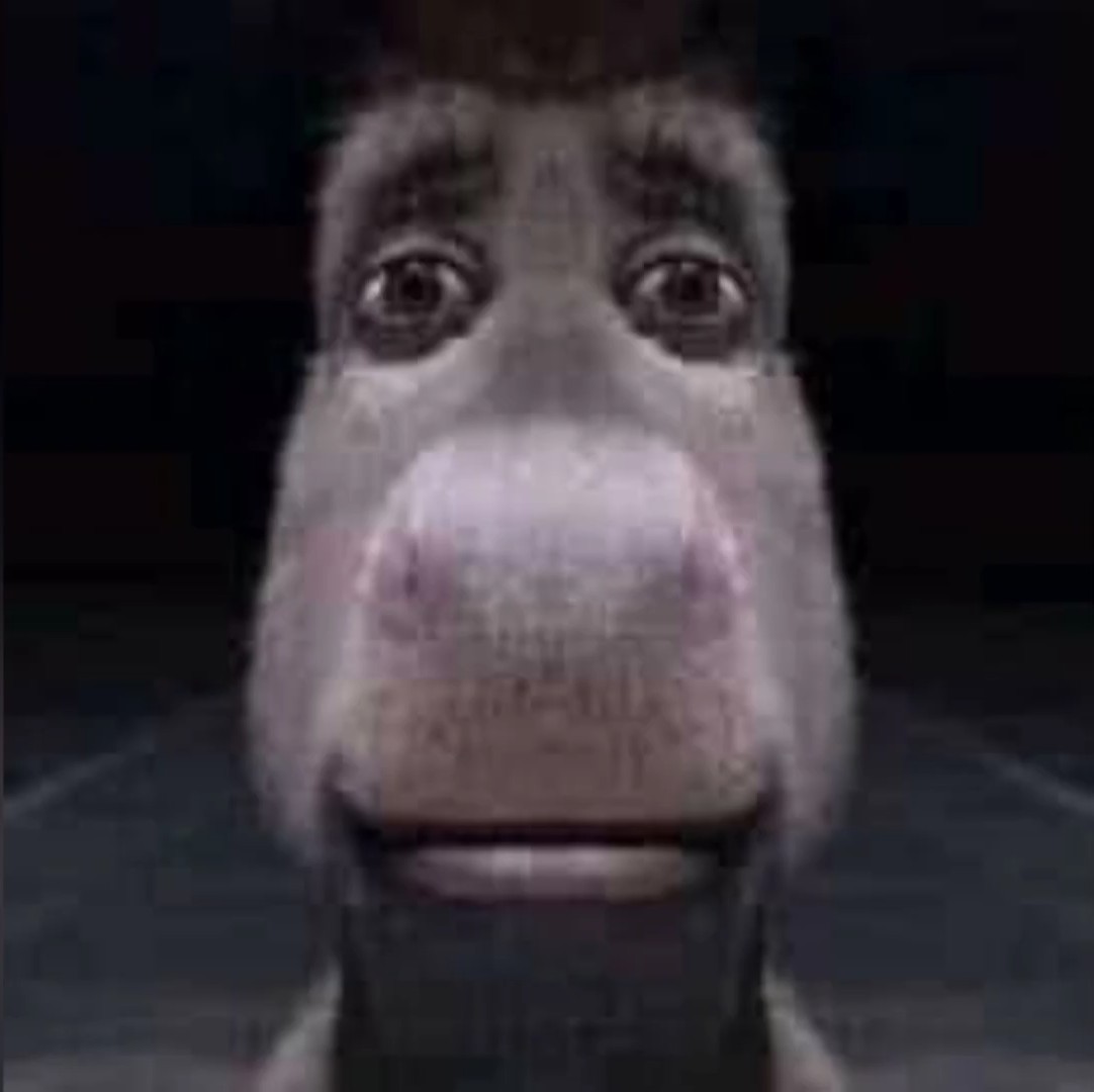 donkey stare Blank Meme Template