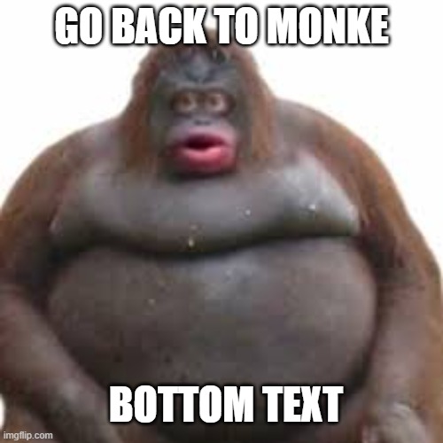 Bottle |  GO BACK TO MONKE; BOTTOM TEXT | image tagged in monke go back to monke | made w/ Imgflip meme maker