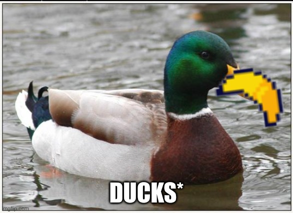 Actual Advice Mallard Meme | DUCKS* | image tagged in memes,actual advice mallard | made w/ Imgflip meme maker