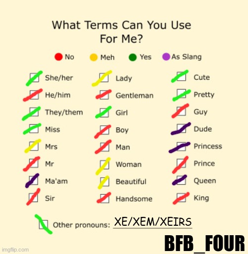 what terms you can call me | XE/XEM/XEIRS; BFB_FOUR | image tagged in pronouns sheet | made w/ Imgflip meme maker