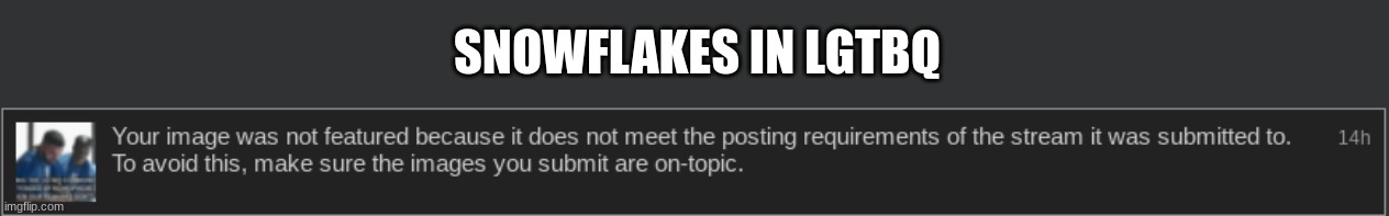 SNOWFLAKES IN LGTBQ | made w/ Imgflip meme maker