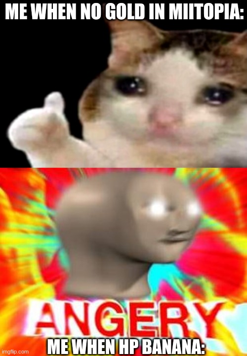 ME WHEN NO GOLD IN MIITOPIA:; ME WHEN HP BANANA: | image tagged in sad cat thumbs up,surreal angery | made w/ Imgflip meme maker