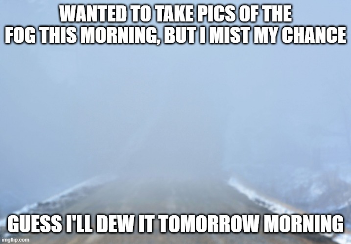 Double Eyeroll | WANTED TO TAKE PICS OF THE FOG THIS MORNING, BUT I MIST MY CHANCE; GUESS I'LL DEW IT TOMORROW MORNING | image tagged in into the fog | made w/ Imgflip meme maker