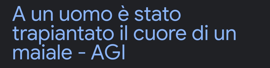 Uomo cuore maiale Blank Meme Template