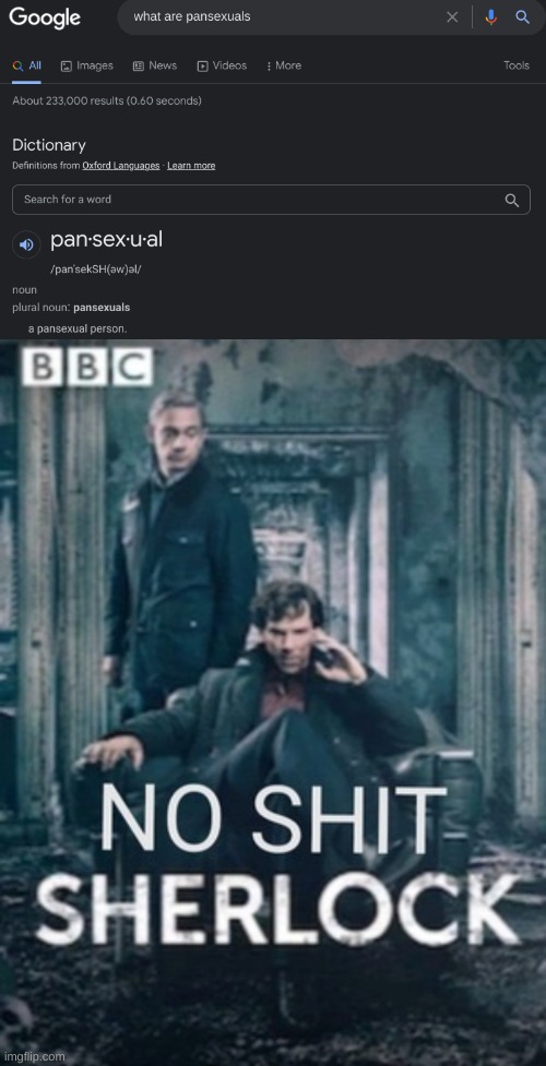 image tagged in no shit sherlock | made w/ Imgflip meme maker