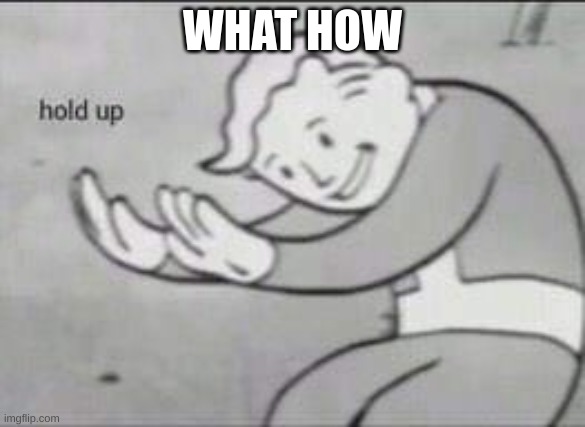 Fallout Hold Up | WHAT HOW | image tagged in fallout hold up | made w/ Imgflip meme maker