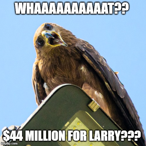 Madhuri Shocked | WHAAAAAAAAAAT?? $44 MILLION FOR LARRY??? | image tagged in madhuri the eagle - startled - nft | made w/ Imgflip meme maker