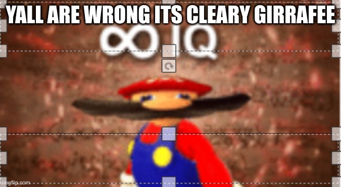 YALL ARE WRONG ITS CLEARY GIRRAFEE | made w/ Imgflip meme maker