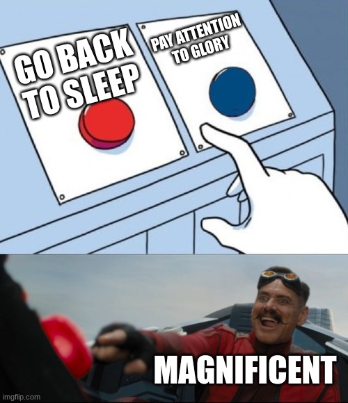 daily wof meme 76 | PAY ATTENTION TO GLORY; GO BACK TO SLEEP; MAGNIFICENT | image tagged in robotnik button | made w/ Imgflip meme maker