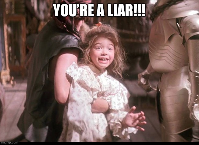 You’re a liar | YOU’RE A LIAR!!! | image tagged in hook | made w/ Imgflip meme maker