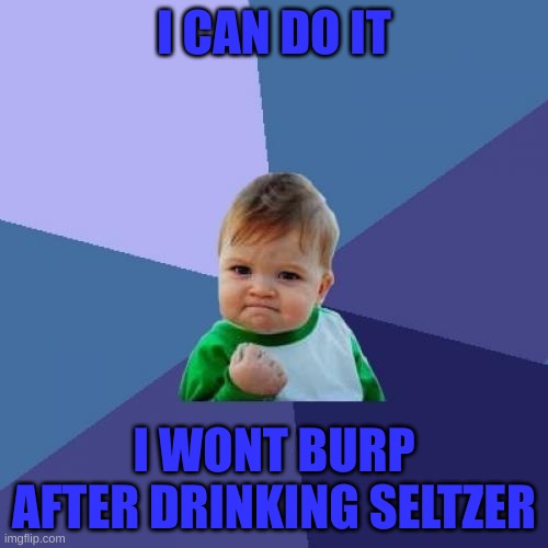 kide | I CAN DO IT; I WONT BURP AFTER DRINKING SELTZER | image tagged in memes,success kid,funny,dumb | made w/ Imgflip meme maker