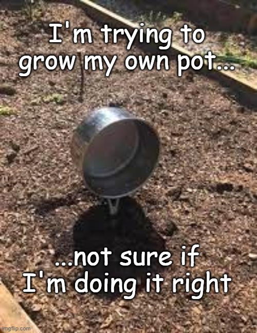 I'm trying to grow my own pot... ...not sure if I'm doing it right | image tagged in pot | made w/ Imgflip meme maker