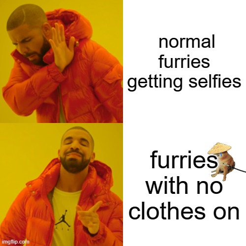 Drake Hotline Bling Meme | normal furries getting selfies furries with no clothes on | image tagged in memes,drake hotline bling | made w/ Imgflip meme maker