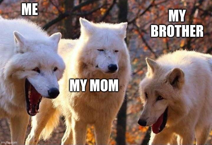 When your mom caught us laughing to loud | ME; MY BROTHER; MY MOM | image tagged in laughing wolf | made w/ Imgflip meme maker