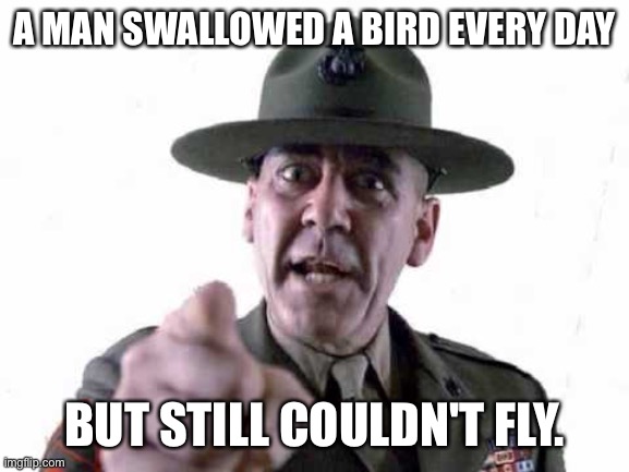 Wise words | A MAN SWALLOWED A BIRD EVERY DAY; BUT STILL COULDN'T FLY. | image tagged in sgt hartman,swallowed,bird,could not fly,funny meme | made w/ Imgflip meme maker