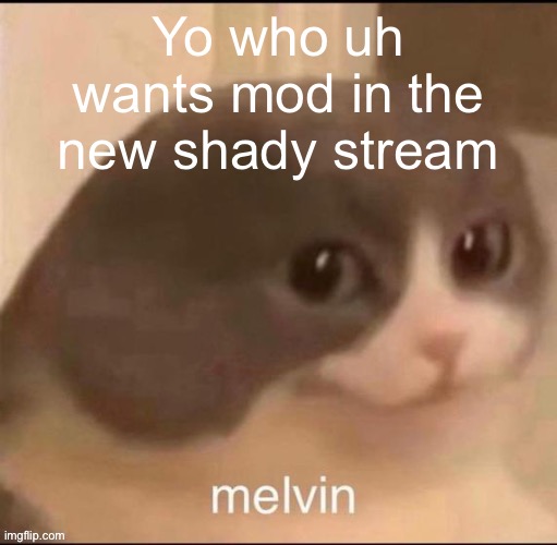 melvin | Yo who uh wants mod in the new shady stream | image tagged in melvin | made w/ Imgflip meme maker