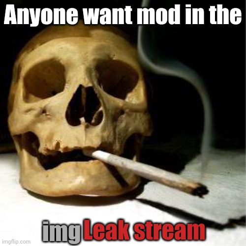 Drug addicted skull | Anyone want mod in the; Leak stream; img | image tagged in drug addicted skull | made w/ Imgflip meme maker