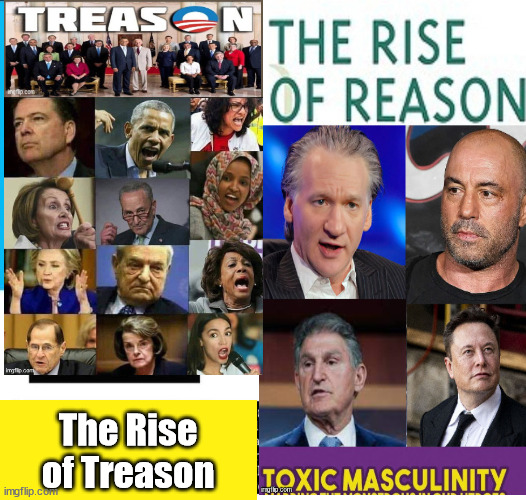 Treason vs Reason...the Rise of Truth.. | The Rise of Treason | image tagged in treason vs reason,truth,lie,democrats,evil | made w/ Imgflip meme maker