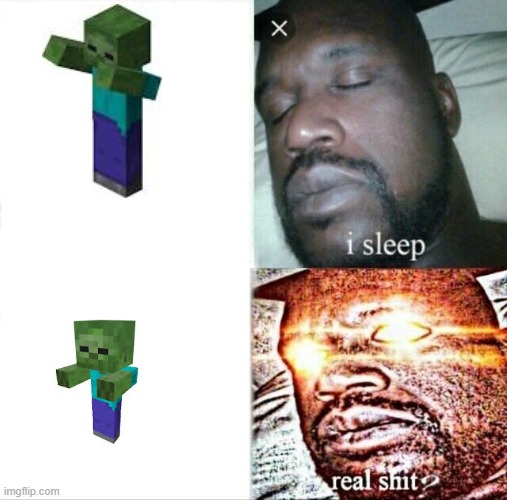 Sleeping Shaq Meme | image tagged in memes,sleeping shaq | made w/ Imgflip meme maker