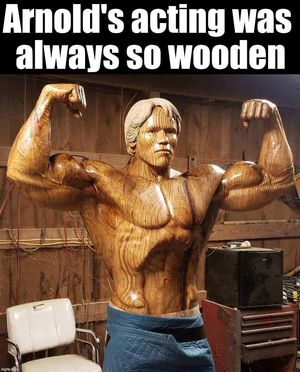 Arnold's acting was 
always so wooden | image tagged in eye roll | made w/ Imgflip meme maker