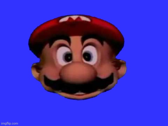 this meme came out of Mario Teaches Typing 2 | image tagged in mario head | made w/ Imgflip meme maker