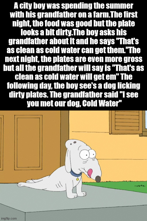 Family guy old dog | A city boy was spending the summer 
with his grandfather on a farm.The first 
night, the food was good but the plate 
looks a bit dirty.The boy asks his 
grandfather about it and he says "That's 
as clean as cold water can get them."The 
next night, the plates are even more gross 
but all the grandfather will say is "That's as 
clean as cold water will get em" The 
following day, the boy see's a dog licking 
dirty plates. The grandfather said "I see 
you met our dog, Cold Water" | image tagged in family guy old dog,gross | made w/ Imgflip meme maker