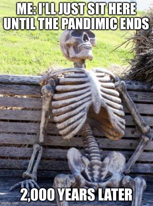 Waiting Skeleton | ME: I’LL JUST SIT HERE UNTIL THE PANDIMIC ENDS; 2,000 YEARS LATER | image tagged in memes,waiting skeleton | made w/ Imgflip meme maker