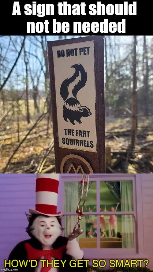If you don't know this, maybe end it all? | A sign that should 
not be needed | image tagged in how d they get so smart,skunk,funny sign,nature,squirrels | made w/ Imgflip meme maker