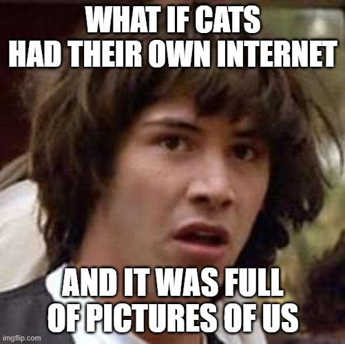 Conspiracy Keanu | WHAT IF CATS HAD THEIR OWN INTERNET; AND IT WAS FULL OF PICTURES OF US | image tagged in memes,conspiracy keanu | made w/ Imgflip meme maker
