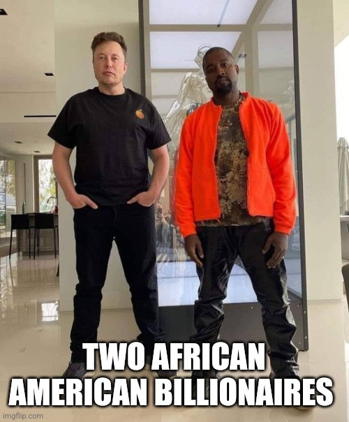 Two African Americans billionaires | TWO AFRICAN AMERICAN BILLIONAIRES | image tagged in elon musk,kanye west | made w/ Imgflip meme maker