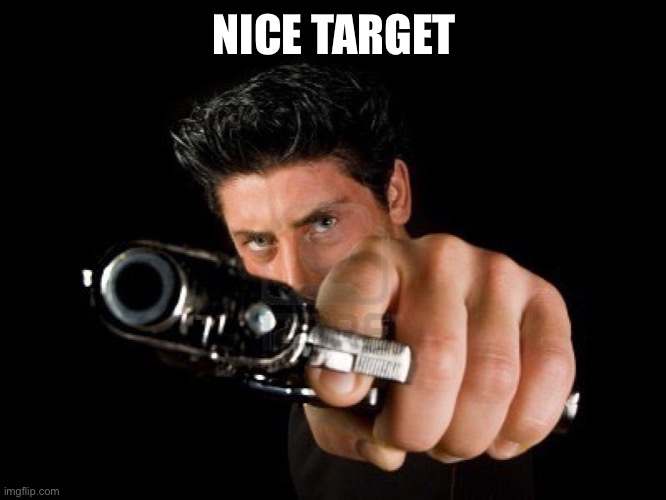 Guy With Gun | NICE TARGET | image tagged in guy with gun | made w/ Imgflip meme maker