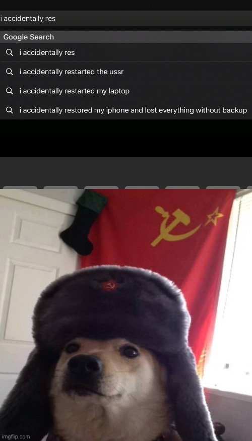 our ussr | image tagged in soviet ussr russian dog | made w/ Imgflip meme maker