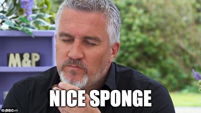 Nice Sponge | NICE SPONGE | image tagged in baking | made w/ Imgflip meme maker