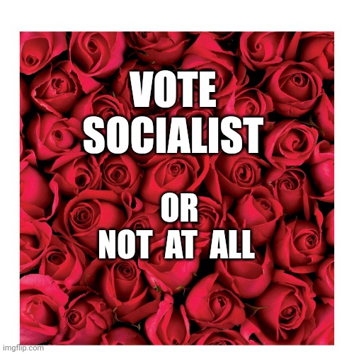Vote socialist | VOTE
SOCIALIST; OR
 NOT  AT  ALL | image tagged in red roses | made w/ Imgflip meme maker