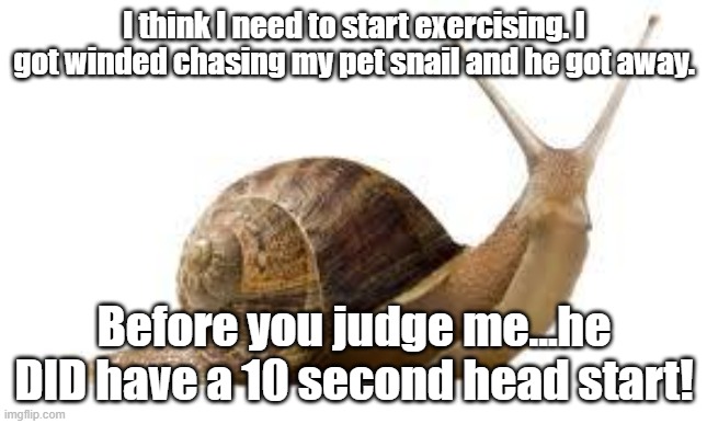 SNAIL |  I think I need to start exercising. I got winded chasing my pet snail and he got away. Before you judge me...he DID have a 10 second head start! | image tagged in snail | made w/ Imgflip meme maker