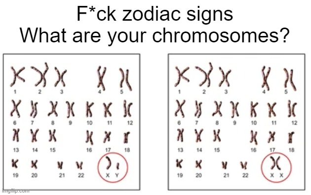 I dunno, I failed geometry | F*ck zodiac signs
What are your chromosomes? | made w/ Imgflip meme maker