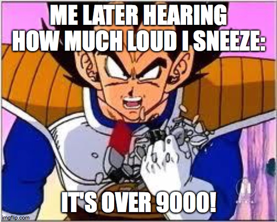 Its OVER 9000! | ME LATER HEARING HOW MUCH LOUD I SNEEZE: IT'S OVER 9000! | image tagged in its over 9000 | made w/ Imgflip meme maker