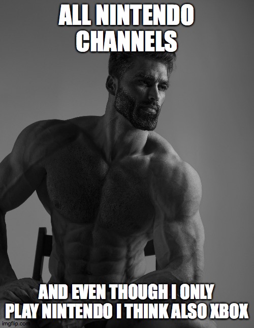 Giga Chad | ALL NINTENDO CHANNELS AND EVEN THOUGH I ONLY PLAY NINTENDO I THINK ALSO XBOX | image tagged in giga chad | made w/ Imgflip meme maker