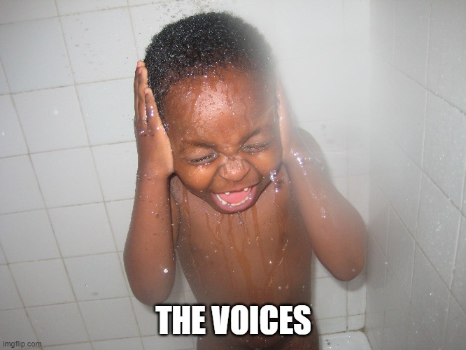 the voices | THE VOICES | image tagged in voices | made w/ Imgflip meme maker
